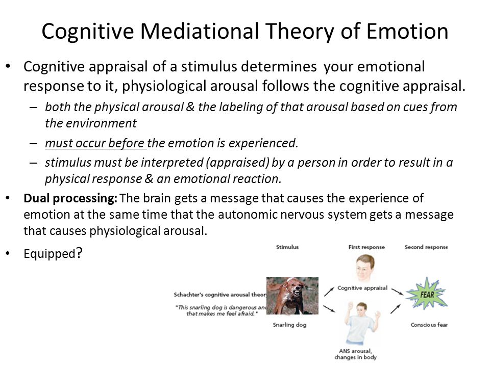 Cognitive mediational theory outlet